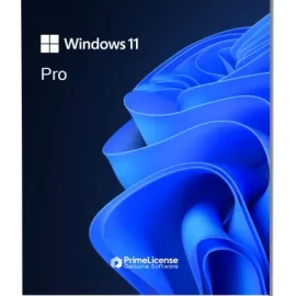 Windows 11 Professional Retail Key